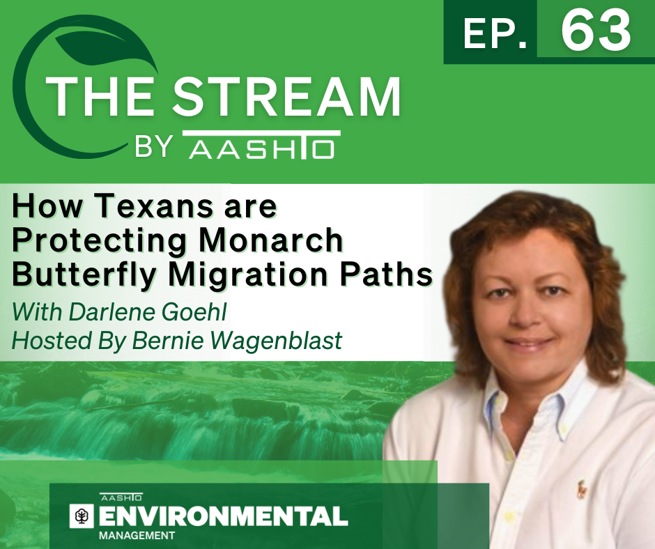 How Texans are Protecting Monarch Butterfly Flight Migrations