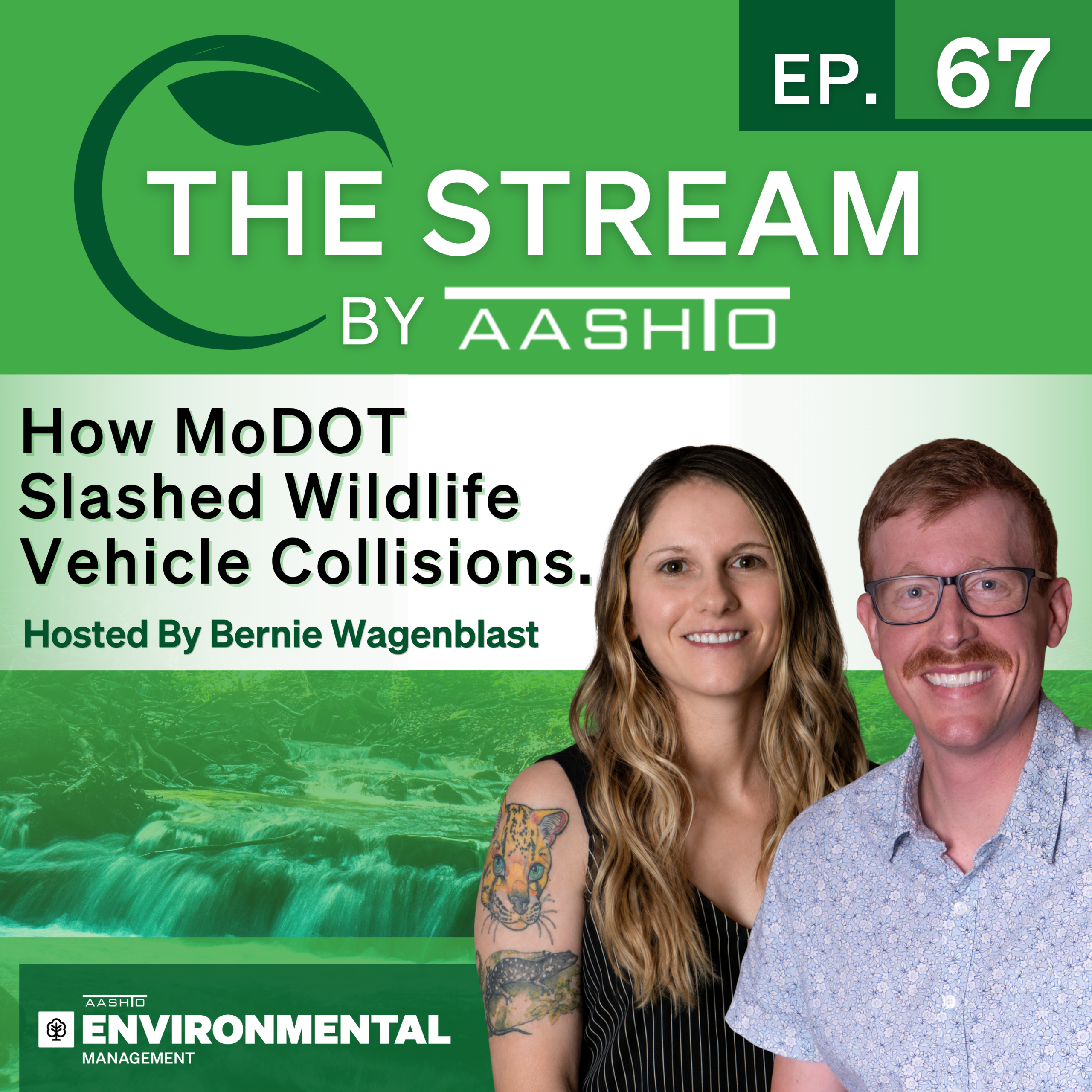 How MoDOT slashed wildlife vehicle collisions